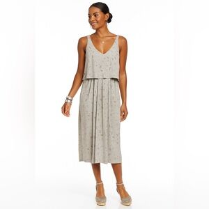 Aritzia t. babaton ronnie silk animal print dress